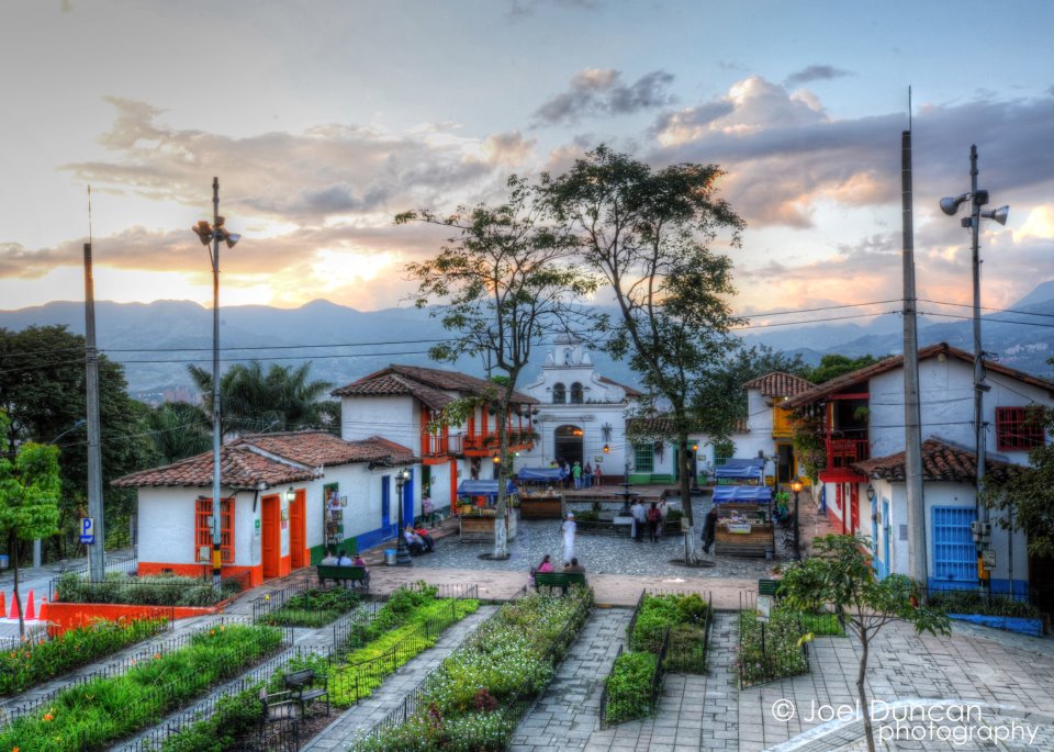 A colorful garden with many plants and buildings